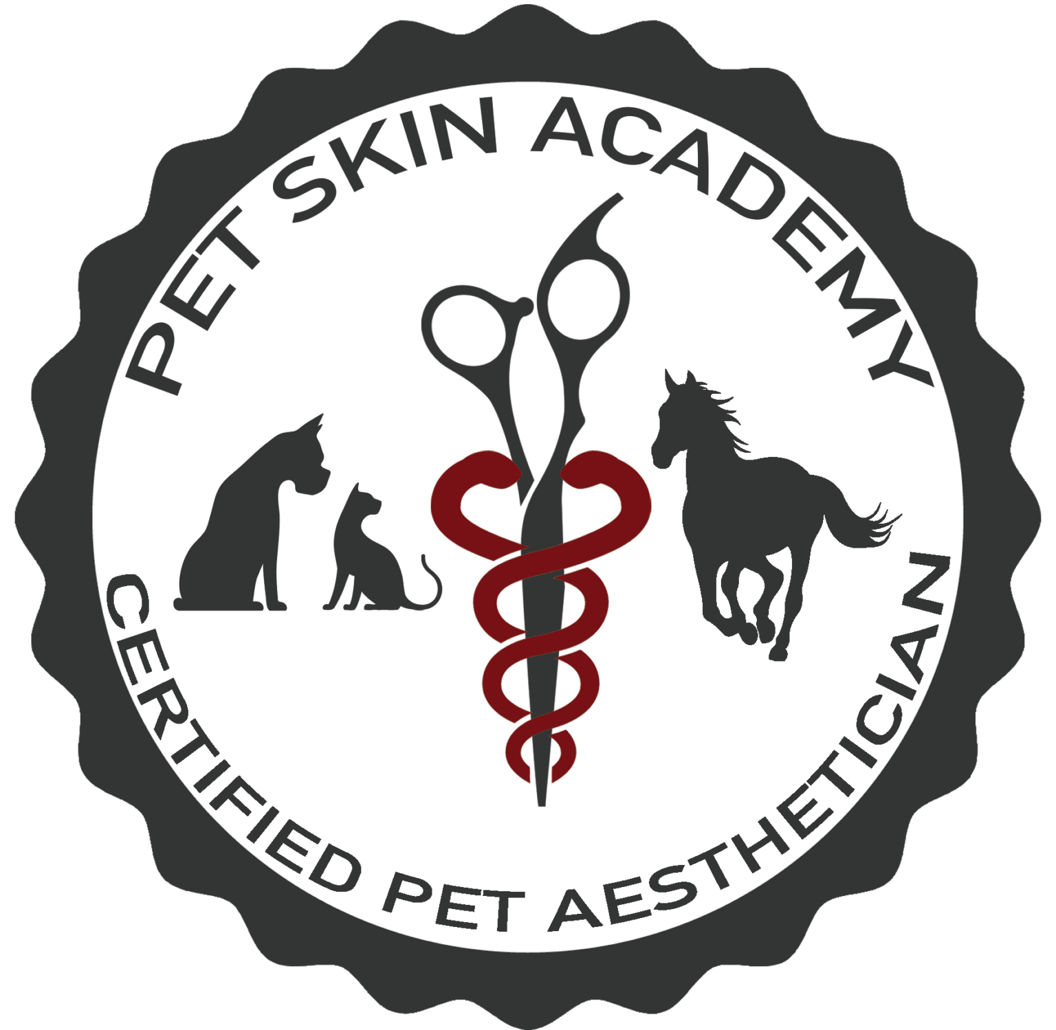 2025 northwest grooming show pet skin academy